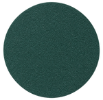 Berger-Seidle Green R205 5